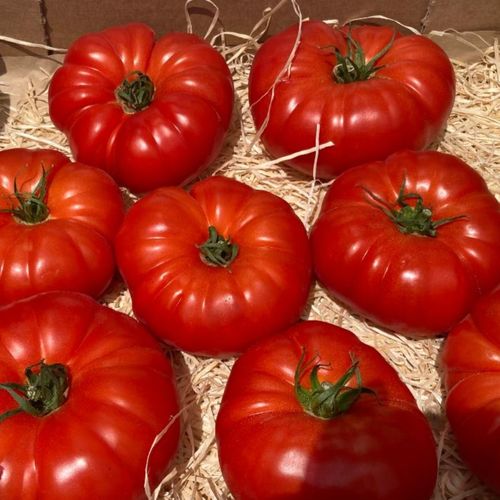 Photo de: Tomate Marquise rouge